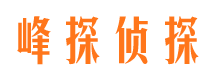 武城捉小三公司